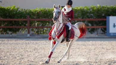 افضل نادي فروسية نسائي في الرياض