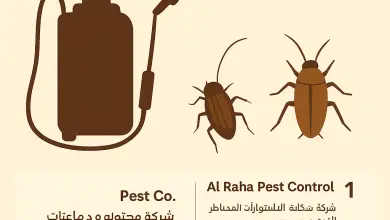 أفضل 4 شركات مكافحة الحشرات في الرياض